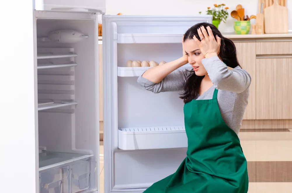 Kühlschrank reparieren