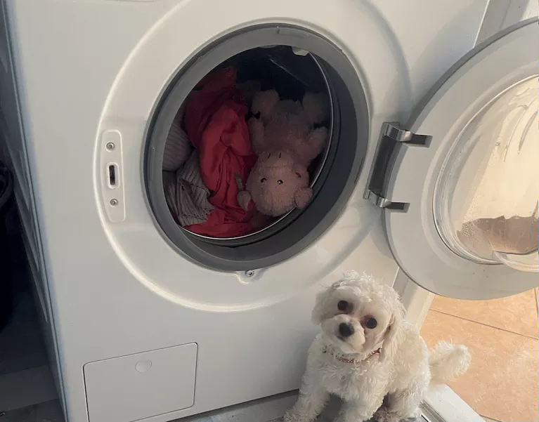 neue Waschmaschinee läuft unten aus